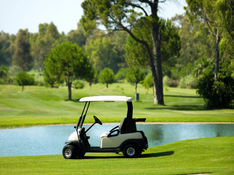 Probióticos MuckBiotics™_ Soluciones Naturales para la Calidad del Agua
